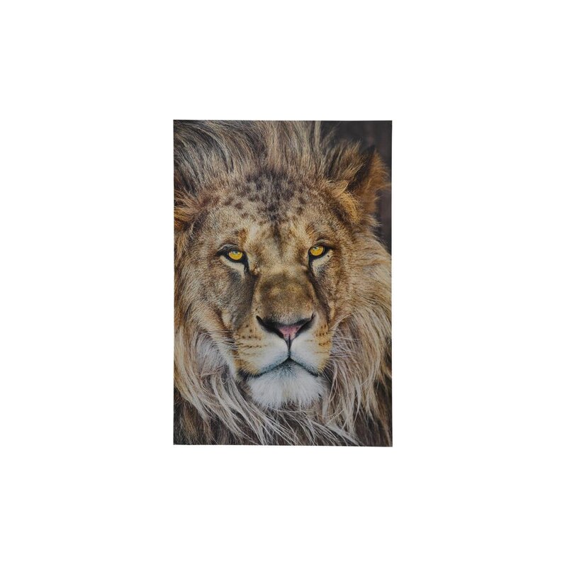 KOMAR Fototapete Lion 127/184 cm bunt