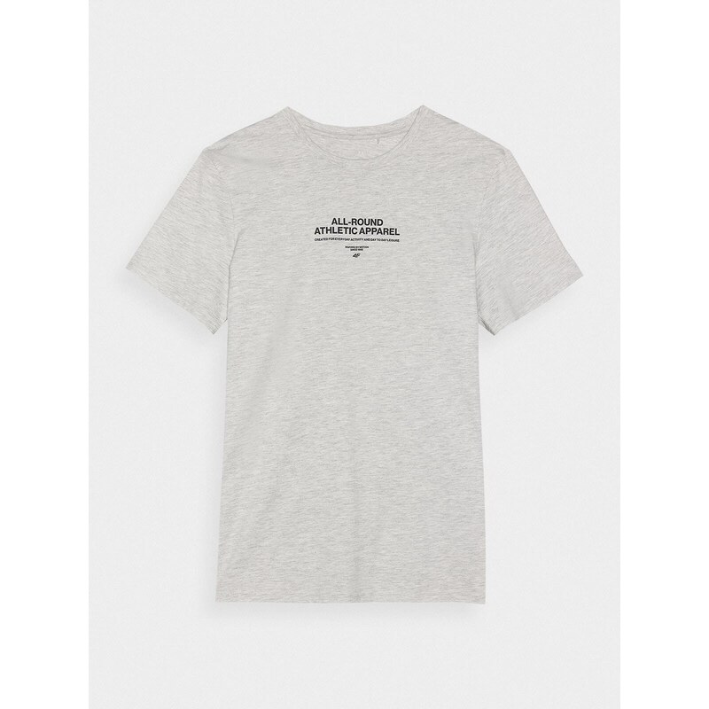 4F Herren T-Shirt mit Print - grau - 3XL