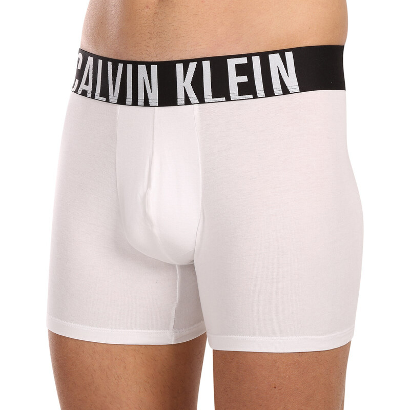 3PACK Herren Klassische Boxershorts Calvin Klein mehrfarbig (NB3609A-MP1) S