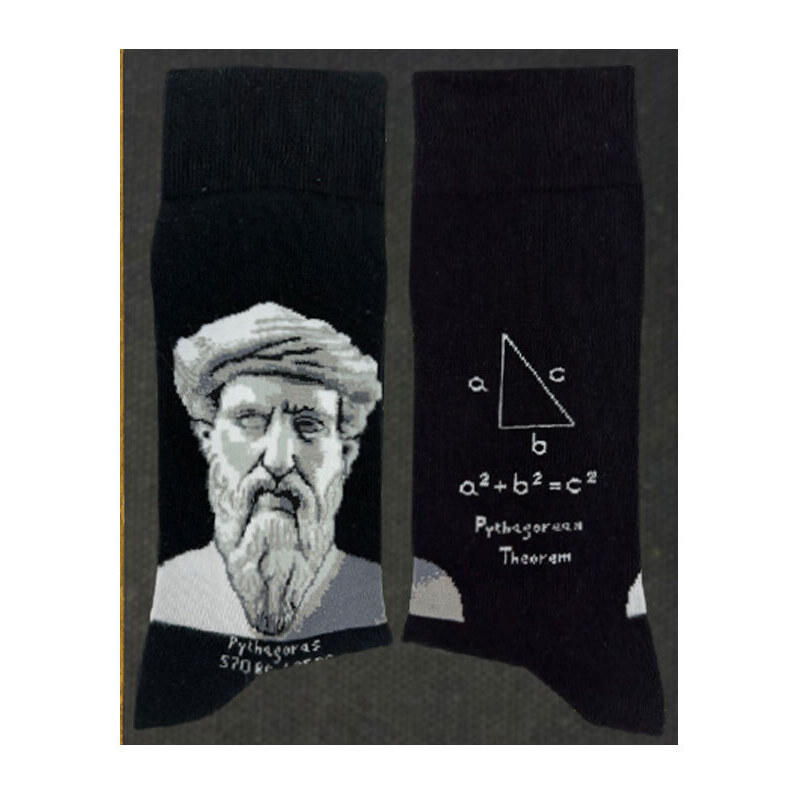 MuseARTa Science & History - Pythagoras