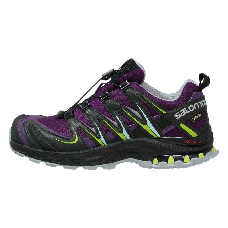 Salomon XA PRO 3D GTX Laufschuh Trail cosmic purple/black/granny green