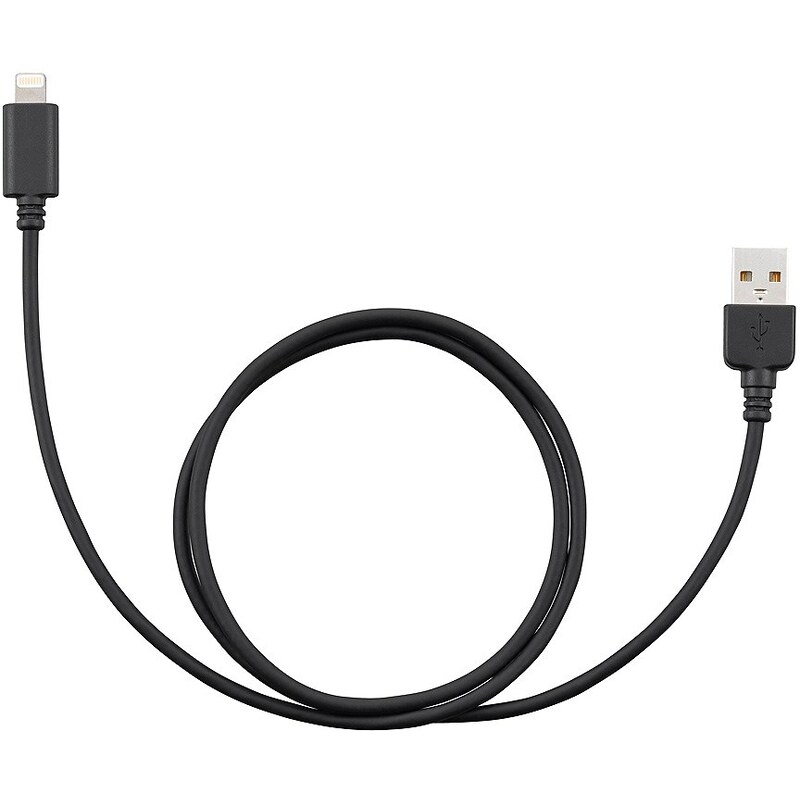 JVC USB Lightning-Kabel »KS-U62K«