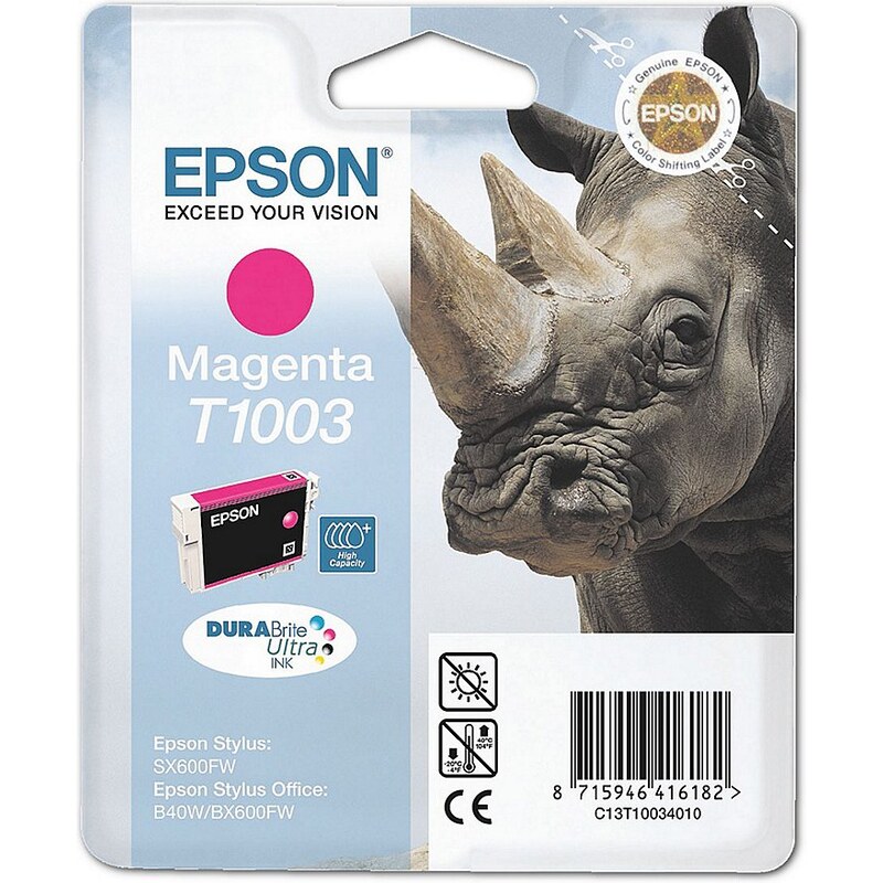 Epson Tintenpatrone »T10034010«