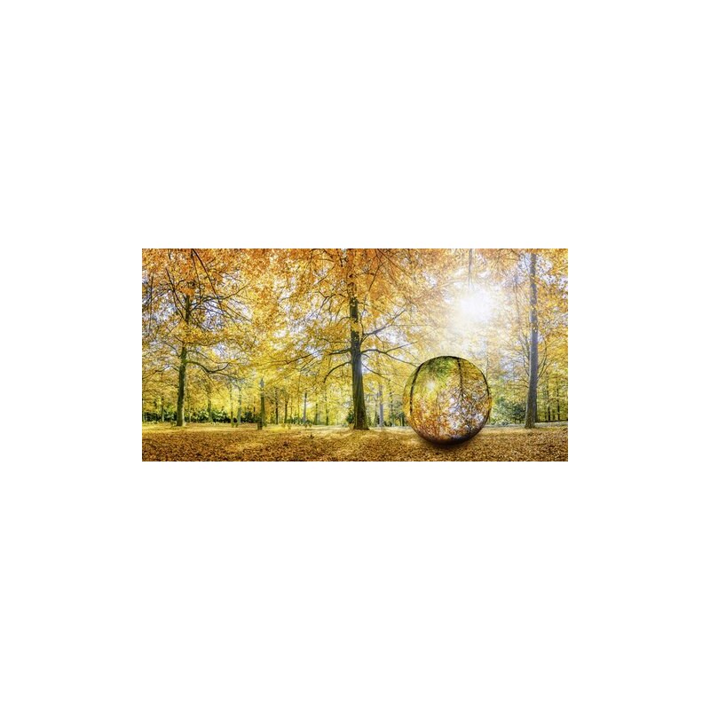 HOME AFFAIRE Glasbild eyetronic: Herbstwald Panorama - Glaskugel 100/50 cm orange