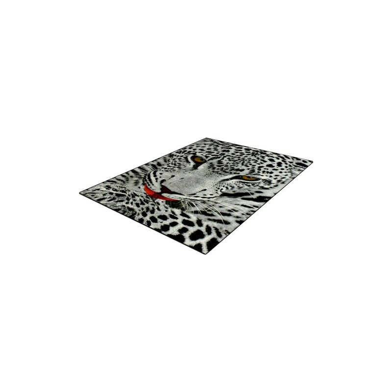 Teppich Trend-Teppiche Kolibri 11122 Leoparden Motiv TREND TEPPICHE grau 2 (B/L: 80x150 cm),3 (B/L: 120x170 cm),4 (B/L: 160x230 cm),6 (B/L: 200x290 cm)