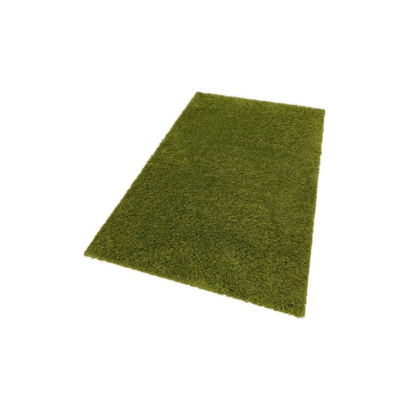 Hochflor-Teppich Shaggy 50 Höhe 50 mm gewebt Bruno Banani grün 8 (B/L: 280x380 cm)