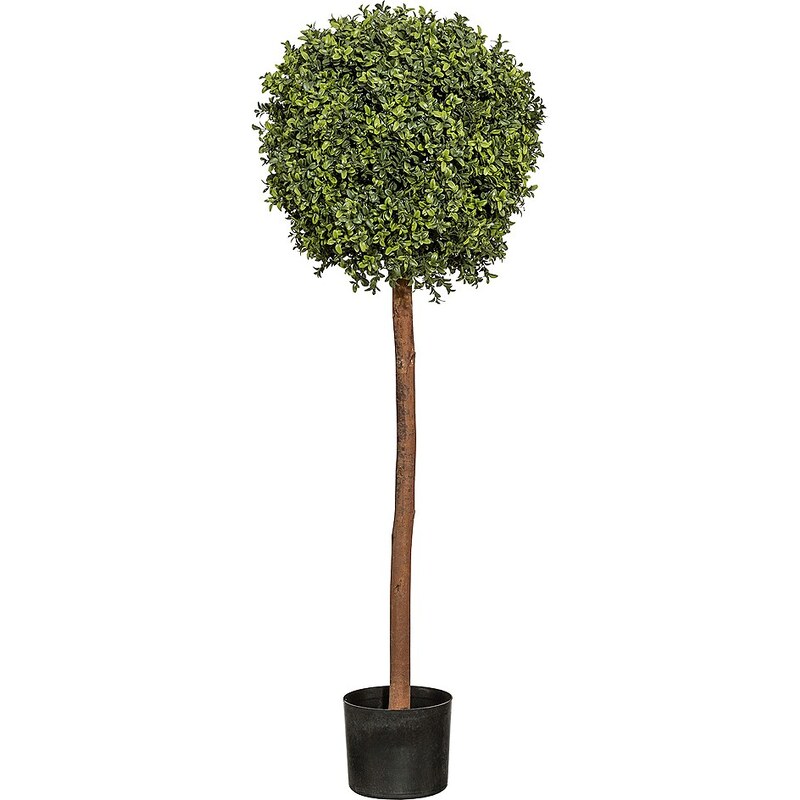 Kunstpflanze »Buchskugelbaum« inkl. Pflanzgefäß