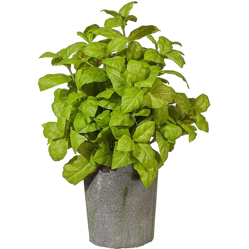 Kunstpflanze »Basilikumbusch« grün inkl. Pflanzgefäß
