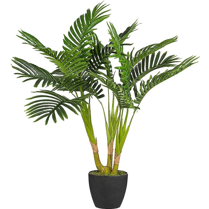 Kunstpflanze »Kentiapalme« inkl. Pflanzgefäß (H: 70 cm)