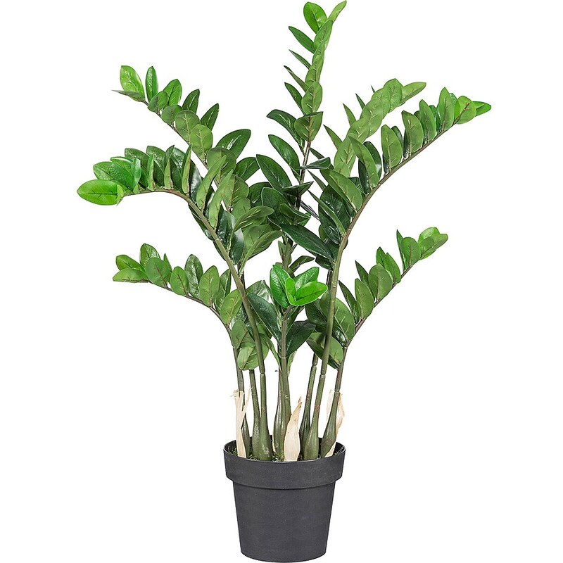 Kunstpflanze »Zamifolia« inkl. Pflanzgefäß (H: 60 cm)