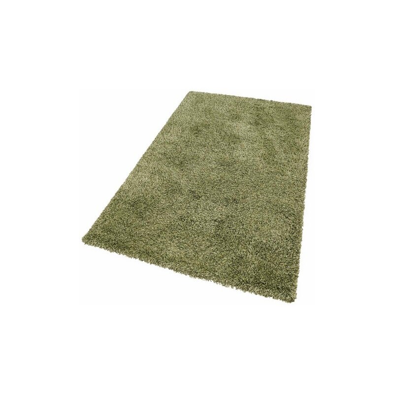 Hochflor-Teppich merinos Denver Höhe 50 mm gewebt MERINOS grün 2 (B/L: 80x150 cm),3 (B/L: 120x170 cm),31 (B/L: 65x130 cm),4 (B/L: 160x230 cm),6 (B/L: 200x290 cm)