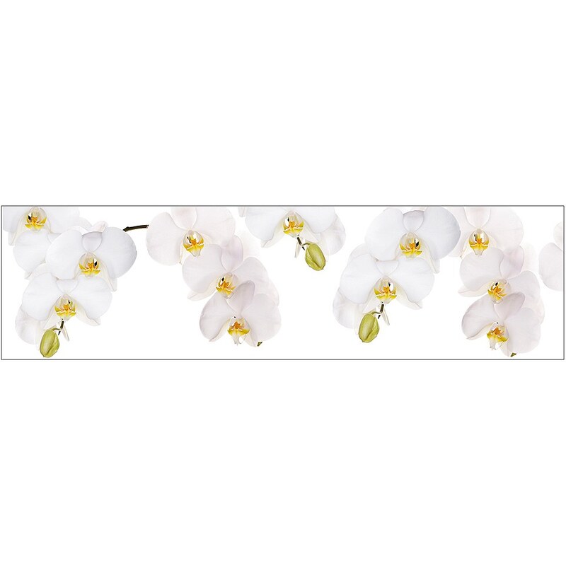 Küchenrückwand - Spritzschutz »profix«, Orchidee weiß, 220x60 cm