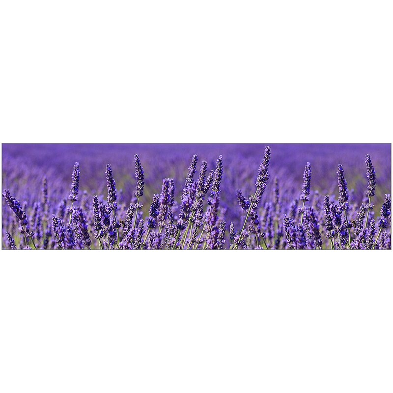 Küchenrückwand - Spritzschutz »profix«, Lavendel, 220x60 cm