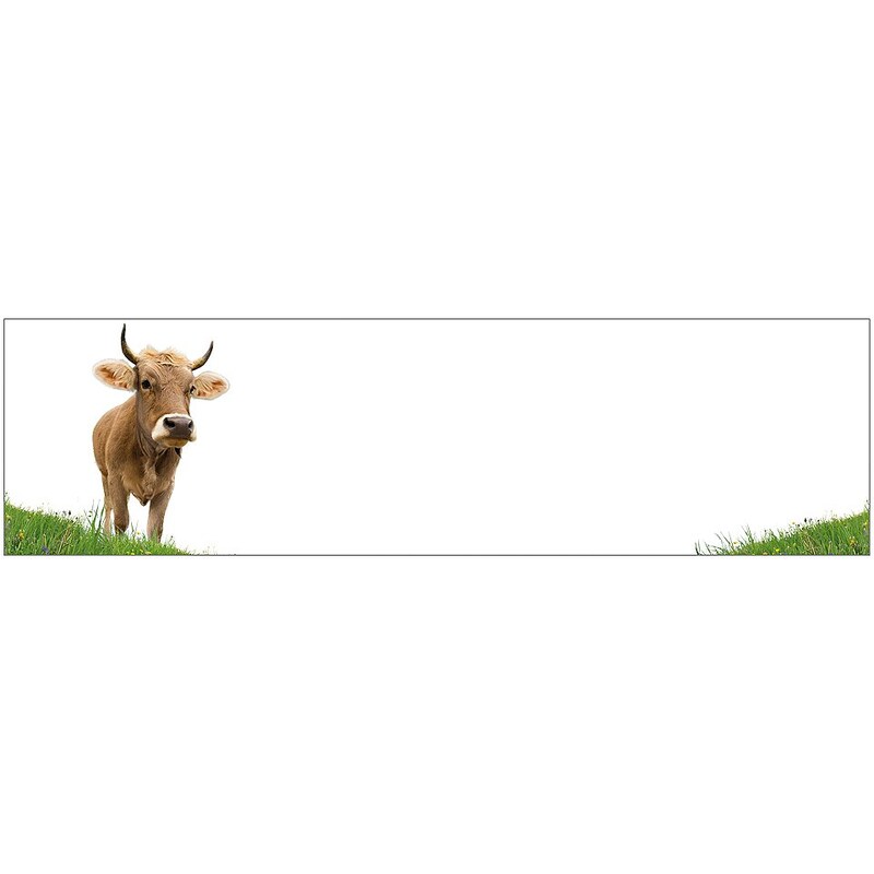 Küchenrückwand - Spritzschutz »profix«, Kuh, 220x60 cm