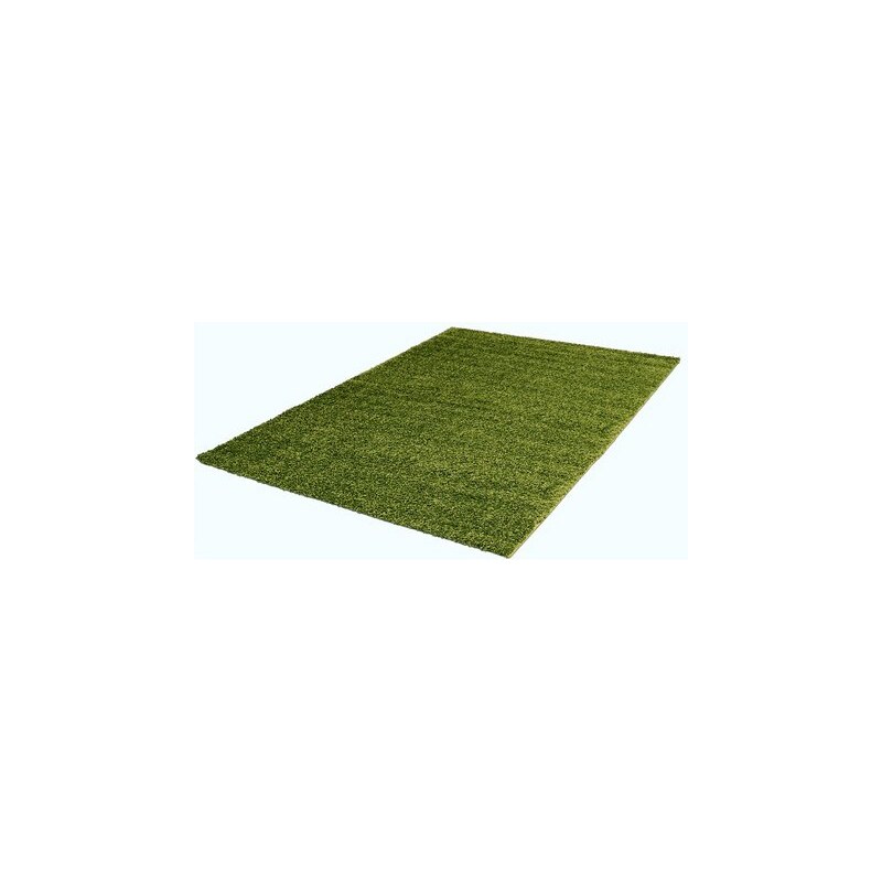 TREND TEPPICHE Hochflor-Teppich Trend-Teppiche Shaggy 8000 Höhe 30 mm grün 1 (B/L: 60x100 cm),2 (B/L: 80x150 cm),31 (B/L: 120x170 cm),4 (B/L: 160x230 cm),6 (B/L: 200x290 cm)
