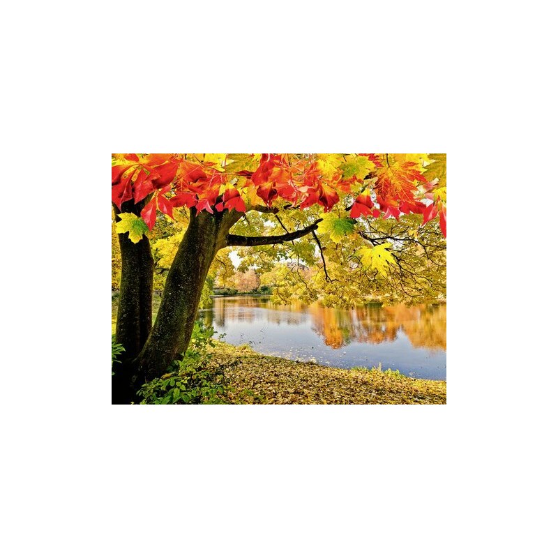 HOME AFFAIRE Glasbild D. Oberfrank-List: Wundervoller Herbsttag an einem ruhigen See 80/60 cm grün