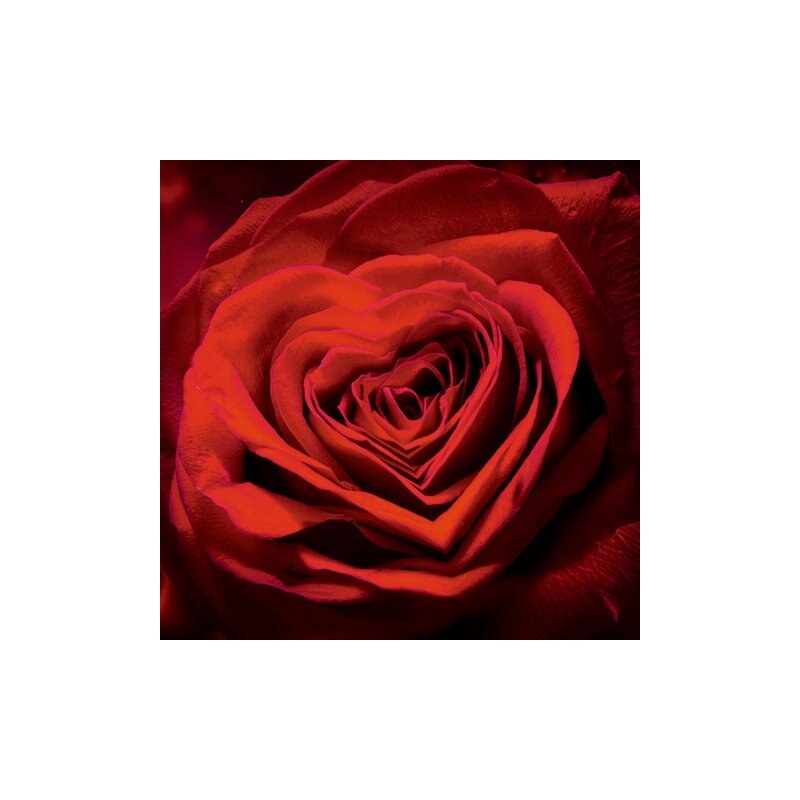 Glasbild R. Tavani: Valentinseinladung mit Herzen und roten Rosen 30/30 cm HOME AFFAIRE rot