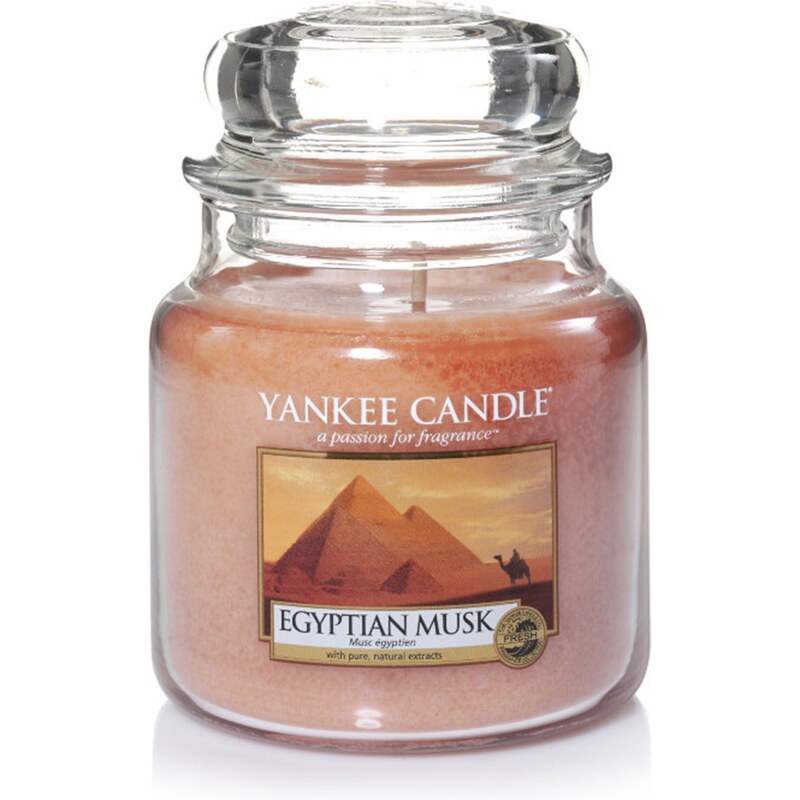 Yankee Candle Musc egyptien orange - Parfümierte Kerze - orange