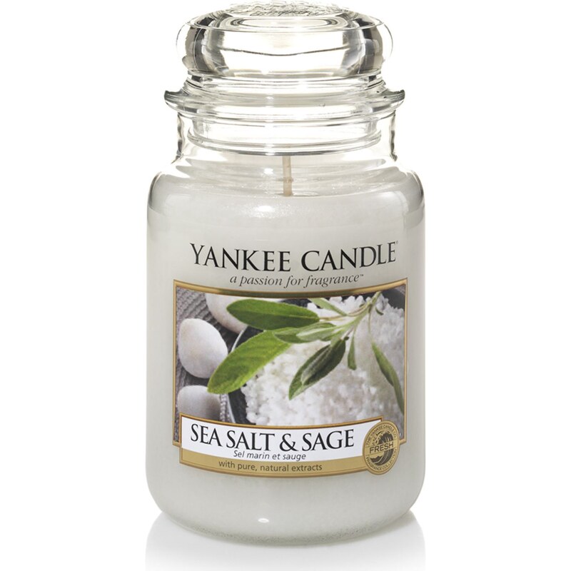 Yankee Candle Sel marin et sauge blanc - Parfümierte Kerze - weiß