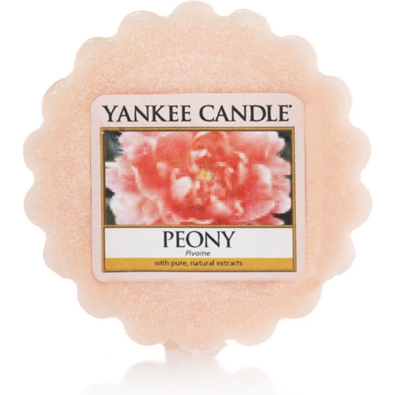 Yankee Candle Pivoine - Parfümierte Kerze - hellrosa