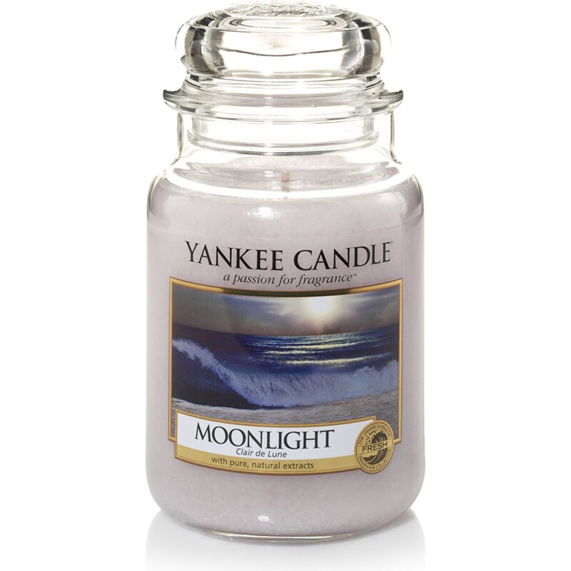 Yankee Candle Clair de Lune blanc - Parfümierte Kerze - weiß