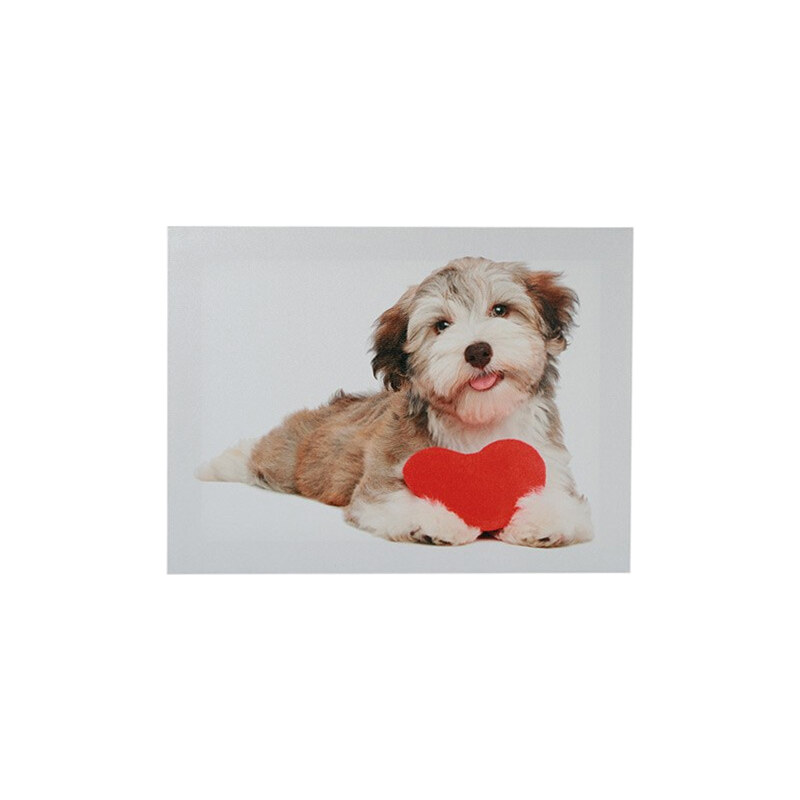 Lesara Leinwand-Bild auf Holzrahmen - Mehrfarbig - Hund mit Herz