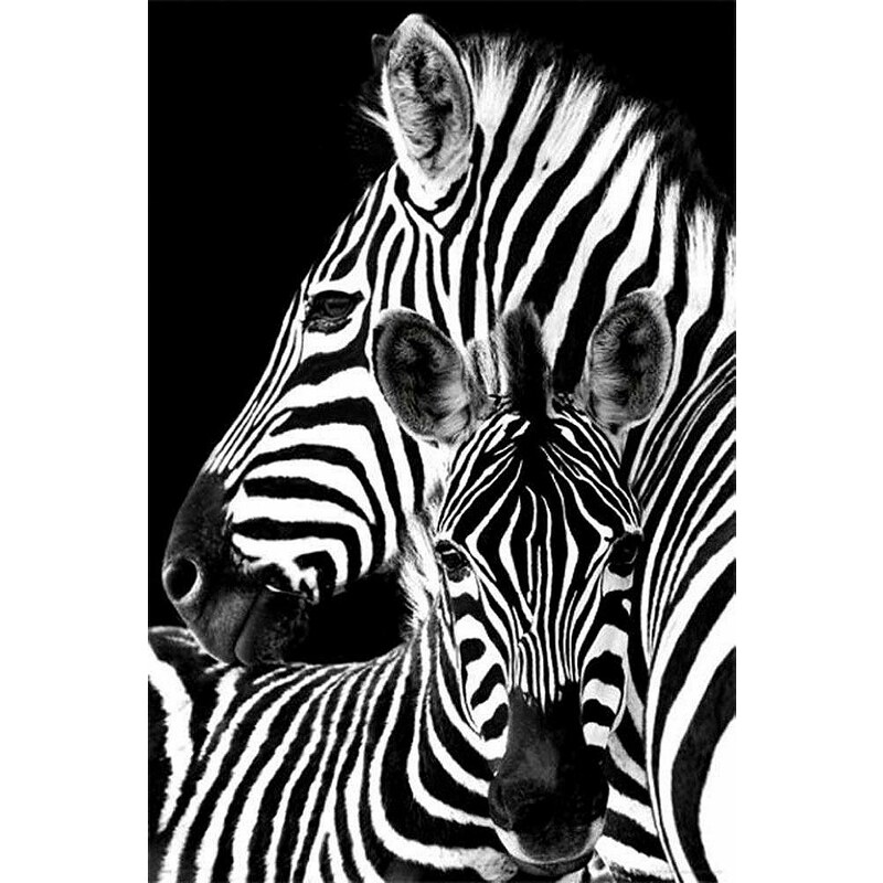 Home affaire, Deco Panel, »Zebras«, 60/90 cm