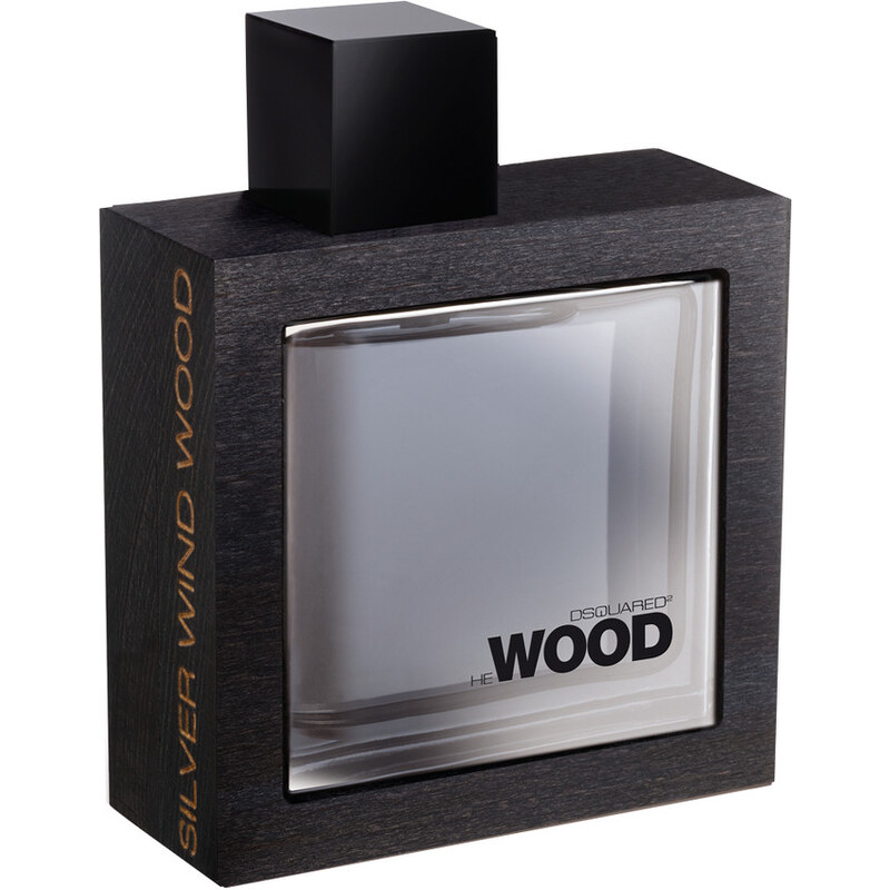 Dsquared² Silver Wind Wood Eau de Toilette (EdT) 100 ml