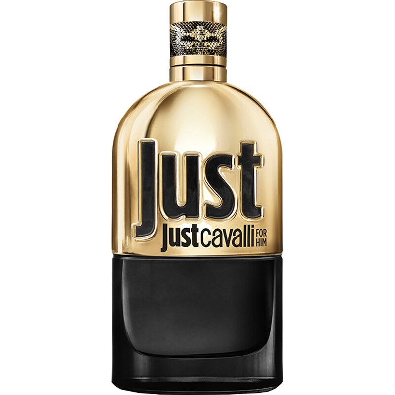 Roberto Cavalli Just Man Gold Eau de Parfum (EdP) 90 ml für Männer
