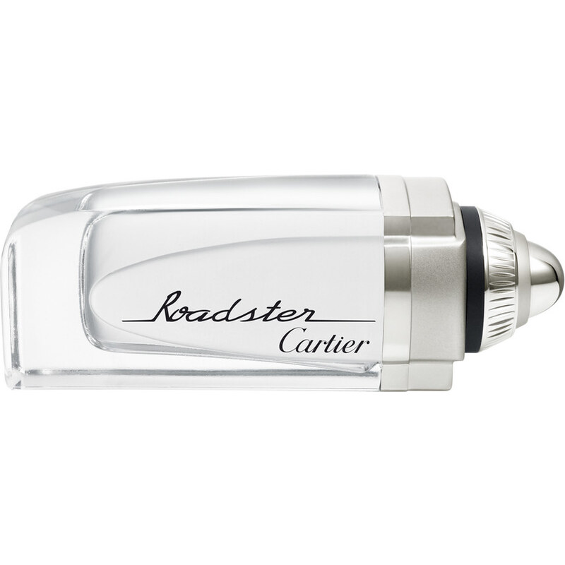 Cartier Roadster Eau de Toilette (EdT) 100 ml für Männer