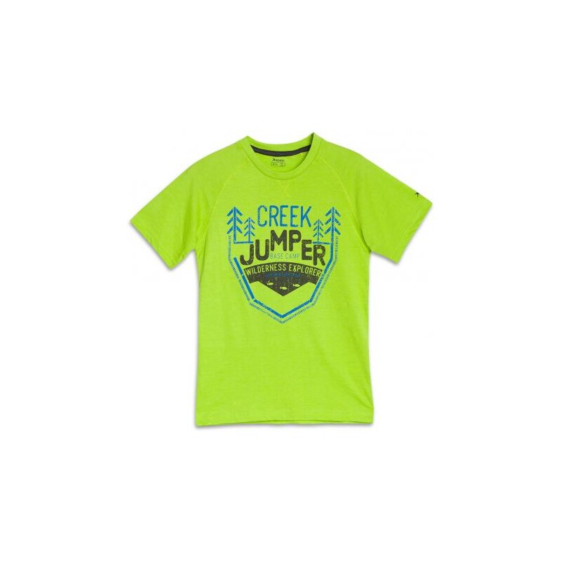 Rossi Jungen T-Shirt Rundhalsausschnitt grün aus Baumwolle