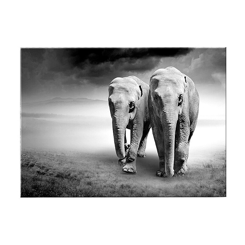 GRAHAM & BROWN Glasbild »Elefanten«