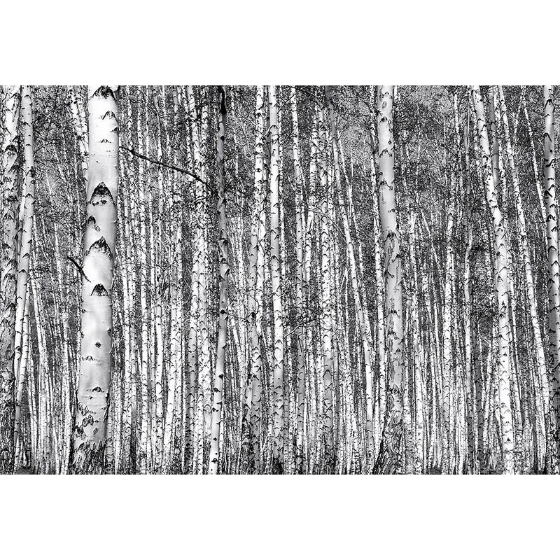 Eurographics Fototapete »Birch Forest«, 366/254 cm