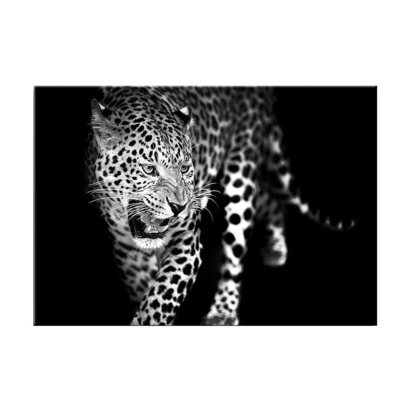 GRAHAM & BROWN Glasbild »Leopard«