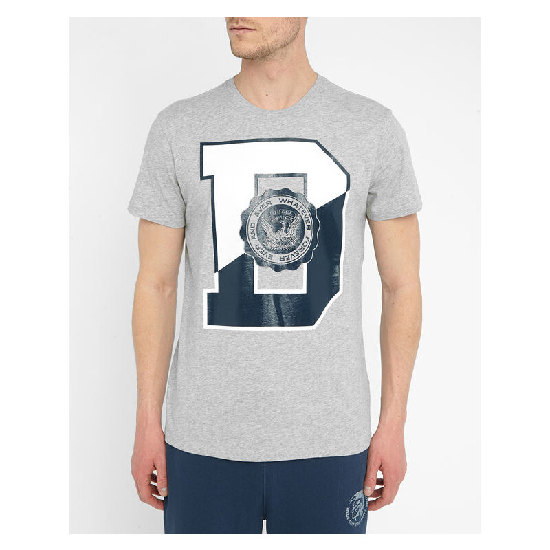 DIESEL Graues T-Shirt mit Rundhalsausschnitt und Logo D T-Diego