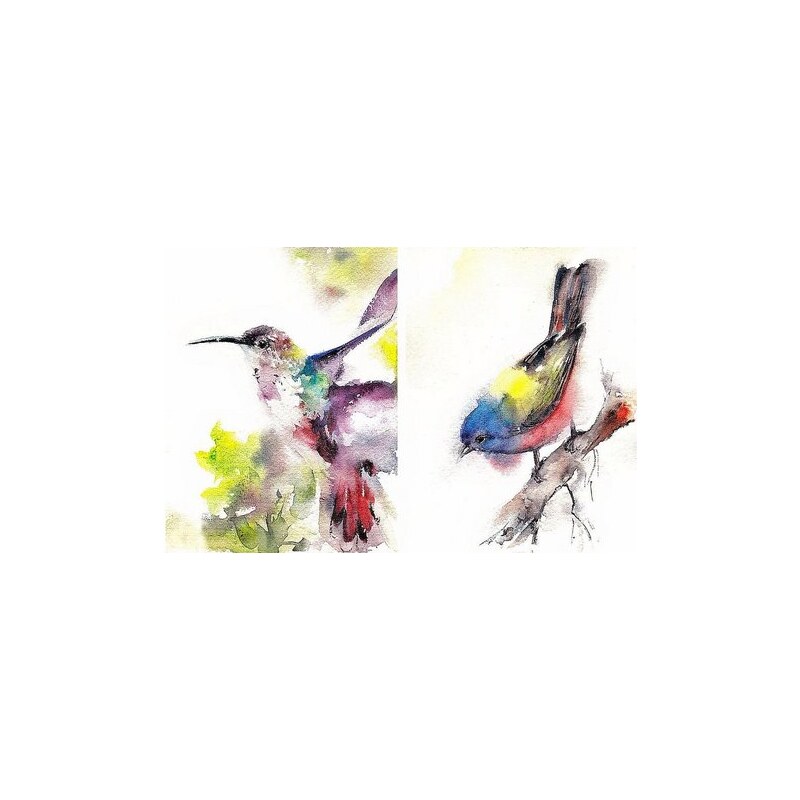 HOME AFFAIRE Bild Kunstdruck Cannotstop / Kolibri Ammer 2x 40/50/1,3 cm bunt
