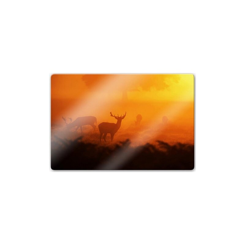 Glasbild Hirsche im Sonnenuntergang 100/70 cm HOME AFFAIRE orange