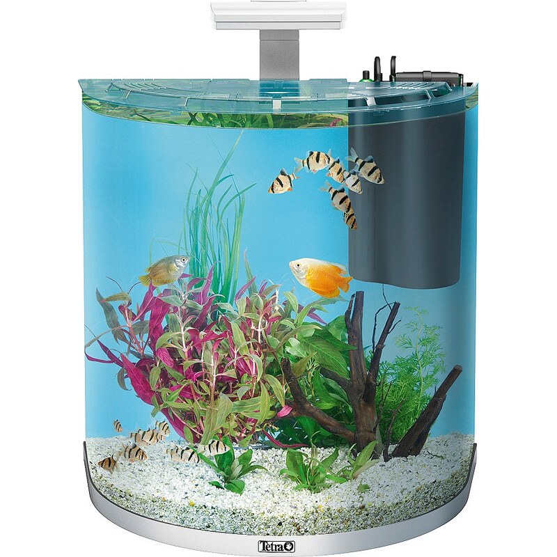 TETRA Aquarium »AquaArt Explorer Line LED 60l«