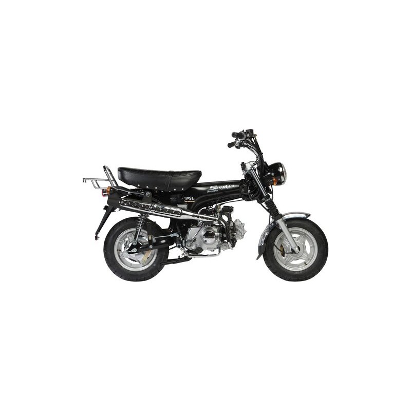 SKYTEAM SkyTeam Motorroller 125 ccm 90 km/h Skymax Club schwarz