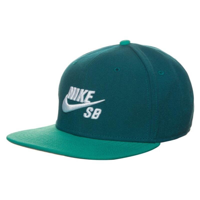 Nike SB Icon Cap