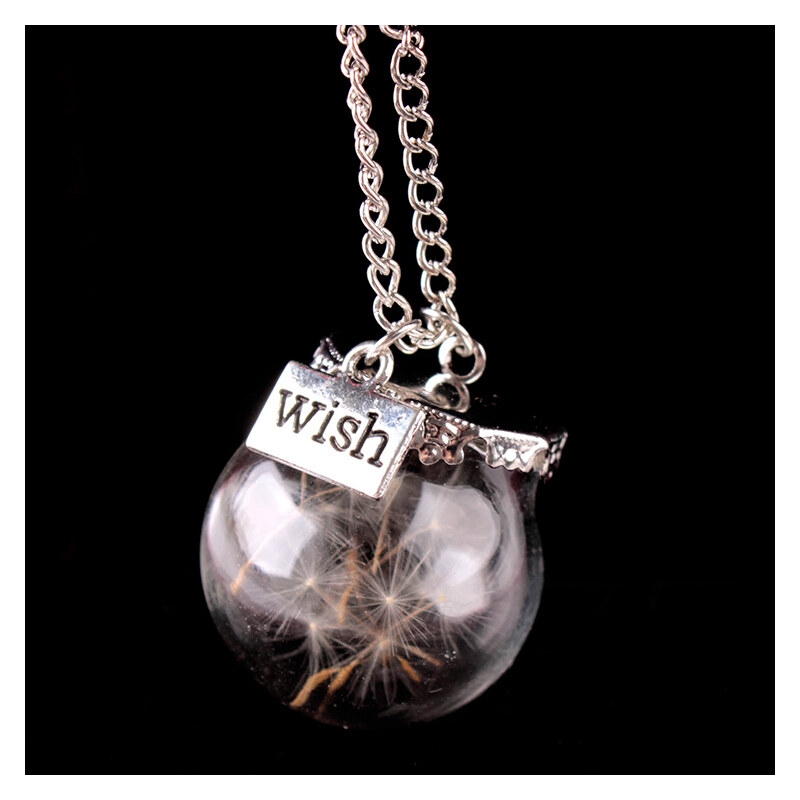 Lesara Halskette mit Wish-Anhänger & Pusteblume - Silber