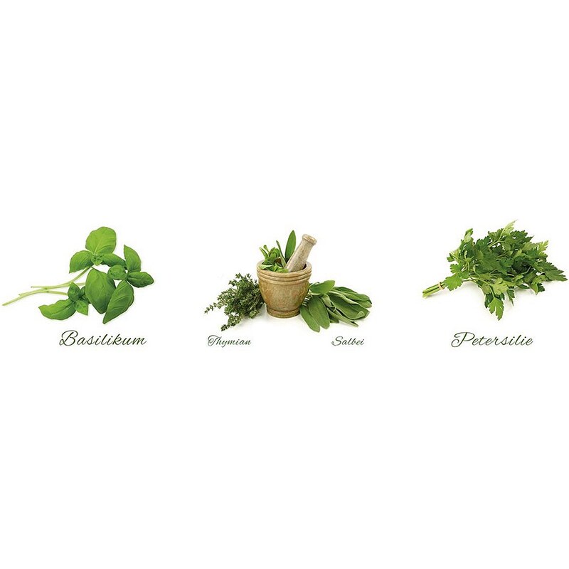 Eurographics Wandtattoos »Different Herbs«, 3x 30/30cm