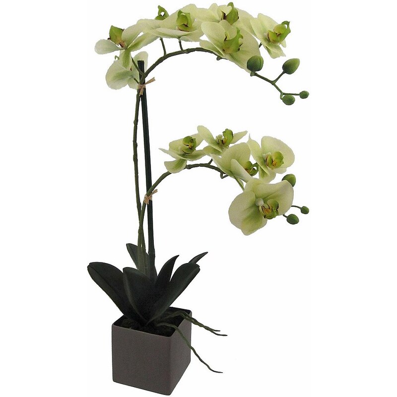 Home affaire Kunstblume »Orchidee«