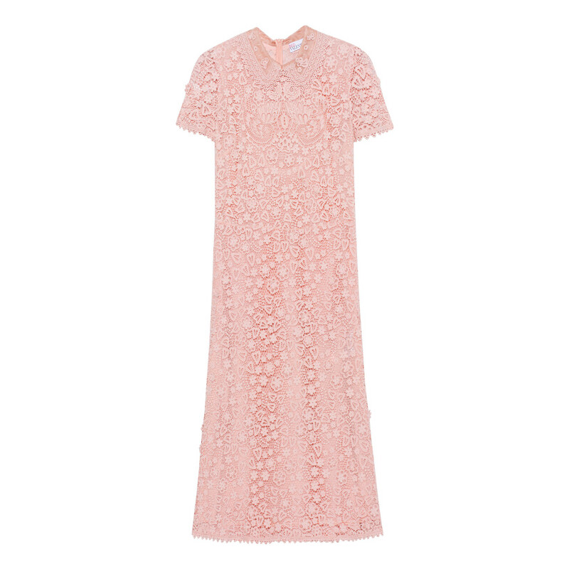 RED VALENTINO Lace Rose