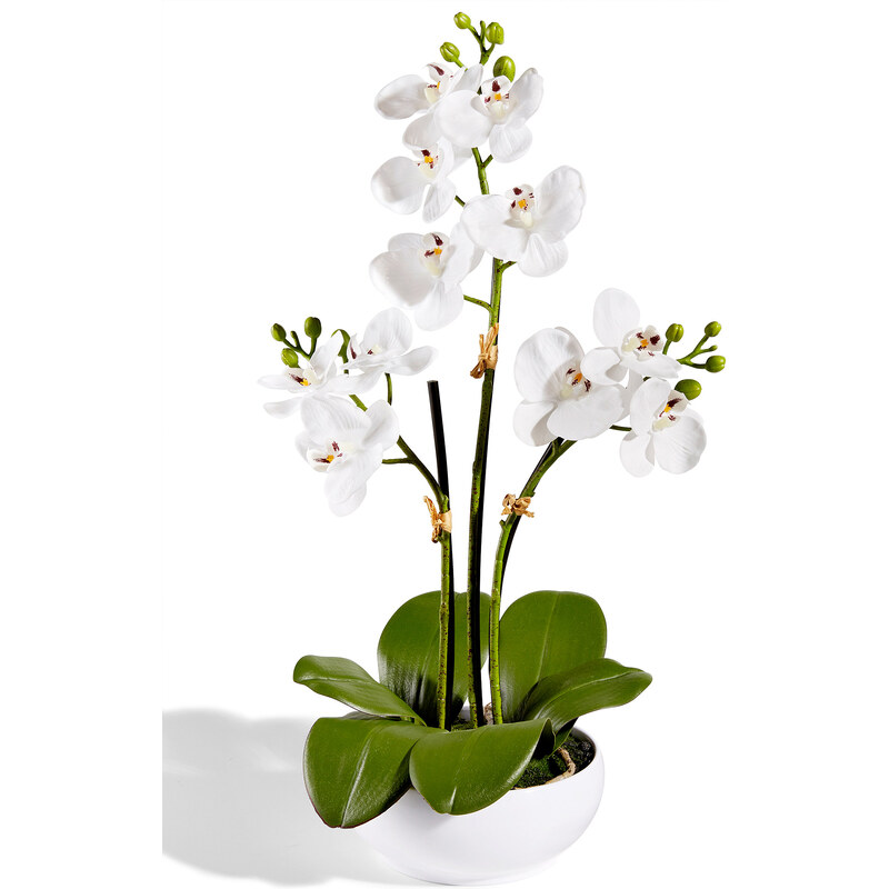 bpc living Kunstblume Orchidee in weiß von bonprix