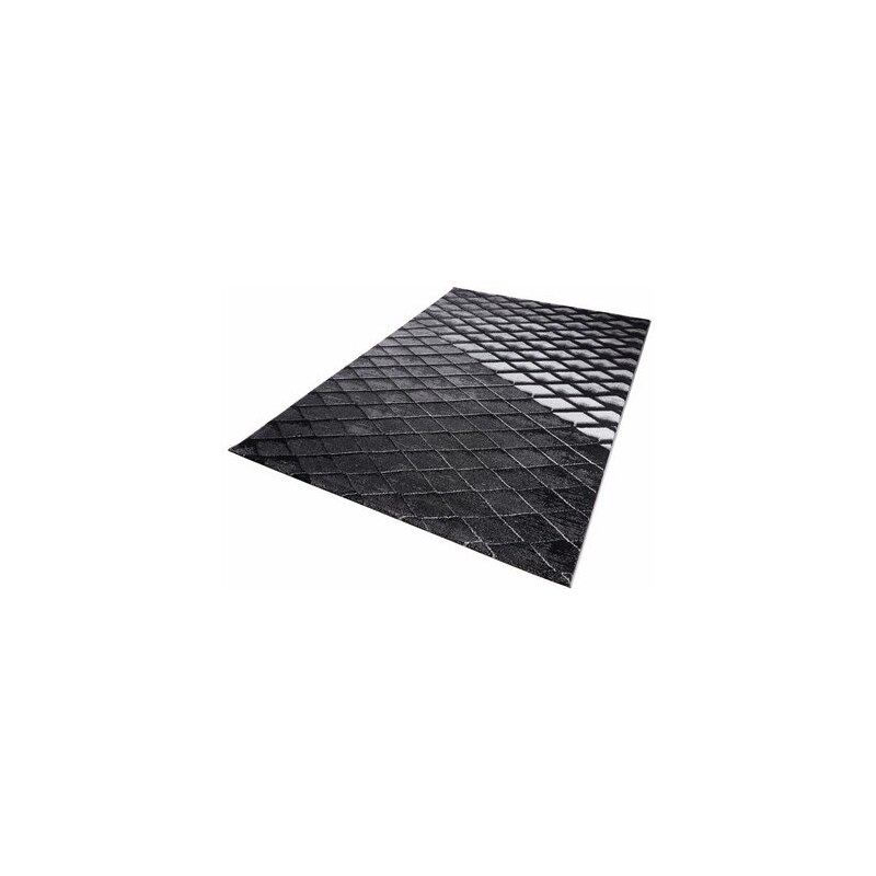 Teppich Arte Espina Move 4455 ARTE ESPINA grau 1 (B/L: 60x110 cm),2 (B/L: 80x150 cm),3 (B/L: 120x170 cm),31 (B/L: 133x190 cm),4 (B/L: 160x230 cm)