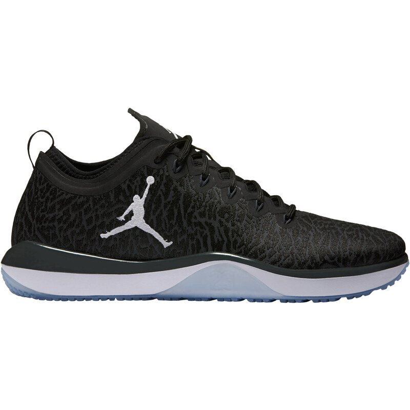 Nike Air Jordan: Herren Basketballschuhe Air Jordan Trainer 1, grau, verfügbar in Größe 47EU