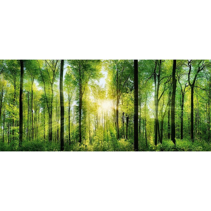 Eurographics Deco Panel »Green Sunshine«, 115/50 cm