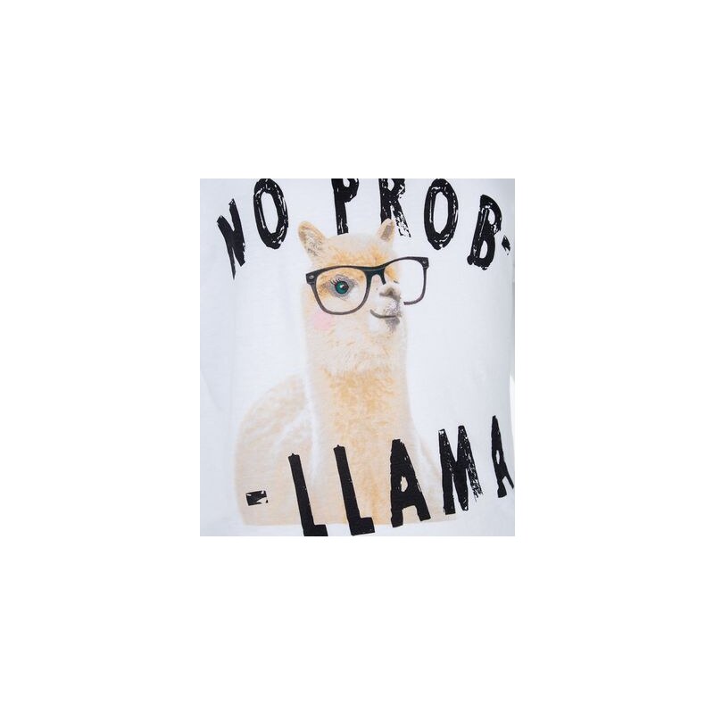 New Look Teenager – „No Prob Llama‟-T-Shirt