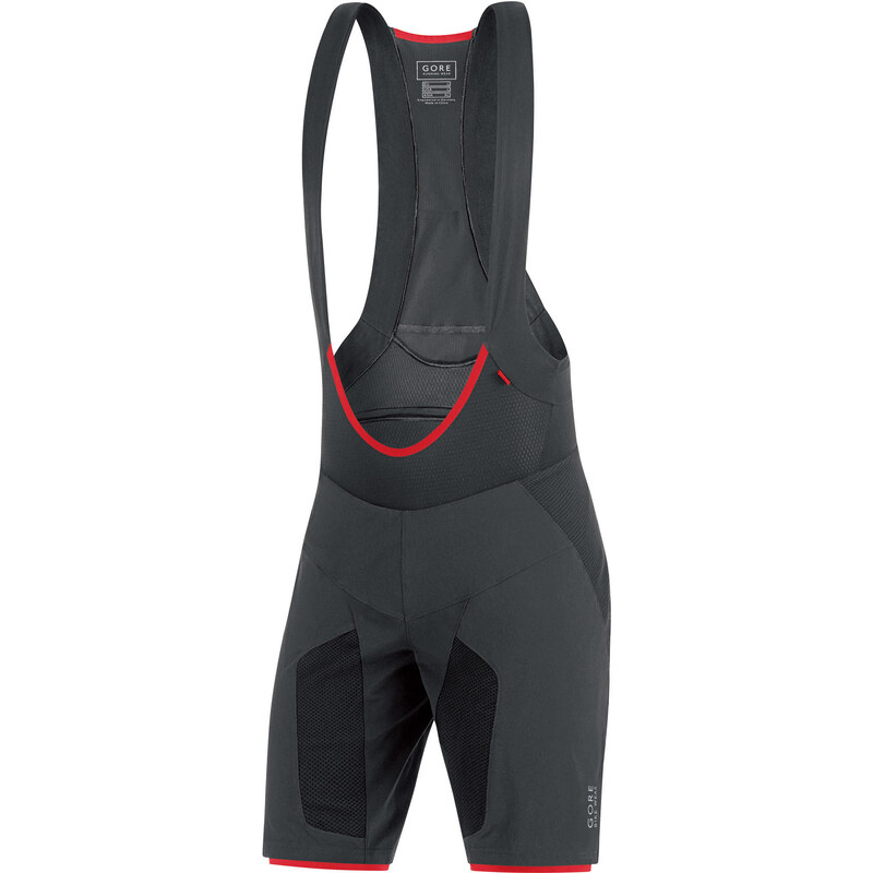 Gore Bike Wear: Herren Radhose Alp-X Pro 2in1 Shorts, schwarz, verfügbar in Größe L,XL